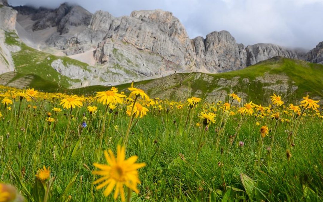 Trekking della Fata