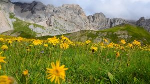 Trekking a Moena