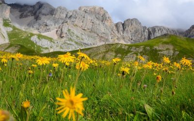 Trekking della Fata